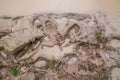 Wet brown mud with fresh deep footprints, directly above view