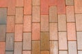 Wet brown pavement. Royalty Free Stock Photo