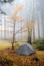 Wet built tent after the night rain in autumn forest. Foggy fall morning. Royalty Free Stock Photo