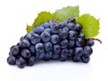 Wet bunch of blue grapes with leaves isolated on white background Royalty Free Stock Photo