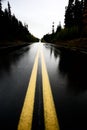 Wet Cassiar Highway Royalty Free Stock Photo