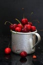 Wet cherries on a black background. Royalty Free Stock Photo