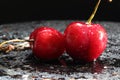 Wet cherries on a black background. Royalty Free Stock Photo