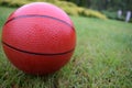Basketball ball lying on fresh grass after the rain. Royalty Free Stock Photo