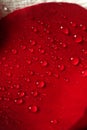 Wet close up macro rose petals, water drops Royalty Free Stock Photo