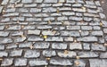 Wet cobble stones after the rain with yellow leaves Royalty Free Stock Photo