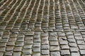 Wet cobbles of block pavement Royalty Free Stock Photo