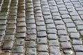 Wet cobbles of block pavement Royalty Free Stock Photo