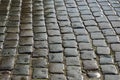 Wet cobbles of block pavement Royalty Free Stock Photo