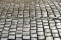 Wet cobbles of block pavement Royalty Free Stock Photo