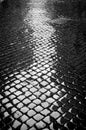 Wet Cobblestone