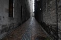 Wet Cobblestone in an Shadowed Alley Royalty Free Stock Photo