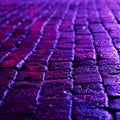 Wet cobblestones with blue reflected light at night.