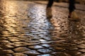 Wet cobblestones at night after rain Royalty Free Stock Photo