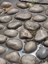 Wet cobblestones pavement, paving stones just after rain. Royalty Free Stock Photo