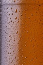 Wet cold beer bottle texture Royalty Free Stock Photo