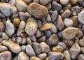 Wet stones and rocks on the shore of the beach