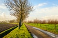 Wet country road in a rural landscape