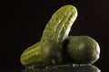 Wet cucumber Royalty Free Stock Photo