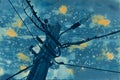 Wet cyanotype of a street light