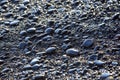 Wet dark pebbles and rocks on the ocean coast