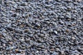 Wet dark pebbles and rocks on the ocean coast