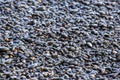 Wet dark pebbles and rocks on the ocean coast