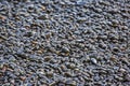 Wet dark pebbles and rocks on the ocean coast