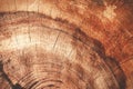 Wet dark redwood texture background Royalty Free Stock Photo