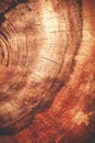 Wet dark redwood texture background Royalty Free Stock Photo