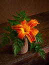 Wet daylily in a vase on a wooden table. Day-lily flower in drops of water on a dark background. Still life with flowers in a Royalty Free Stock Photo