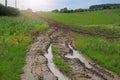 Wet dirt road leading to the village after rain. Toned background Royalty Free Stock Photo