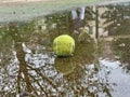 Wet dirty tennis ball in puddle in rainy weather. Cancellation of matches.