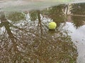 Wet dirty tennis ball in puddle in rainy weather. Cancellation of matches. Water reflection Royalty Free Stock Photo