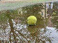 Wet dirty tennis ball in puddle in rainy weather. Cancellation of matches.