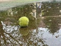 Wet dirty tennis ball in puddle in rainy weather. Cancellation of matches.