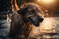 A wet dog shakes water off his body, Generative AI