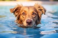 Wet Dog swimming pool vacation. Generate Ai Royalty Free Stock Photo