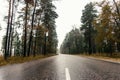 Wet empty asphalt road through forest in foggy rainy autumn day, highway in rural landscape Royalty Free Stock Photo