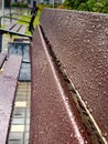 Wet empty wooden bench with rain drops in Royalty Free Stock Photo