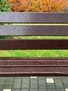 Wet empty wooden bench with rain drops in Royalty Free Stock Photo