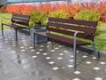 Wet empty wooden bench with rain drops in Royalty Free Stock Photo