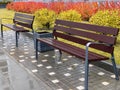 Wet empty wooden bench with rain drops in Royalty Free Stock Photo