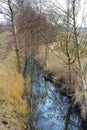 Wet farmland in early spring ,Jutland, Denmark. Abandoned wild tree branches growing near water source. Swamp riverbank