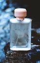 Wet female perfume Royalty Free Stock Photo