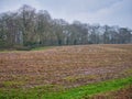 A wet field of corn stubble on a grey day in winter with a background of leafless trees. Taken in Cheshire, UK.