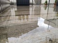 Wet floor in the yard after rain Royalty Free Stock Photo
