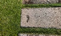 Wet footprint of a human foot on a stone path surrounded by green grass Royalty Free Stock Photo