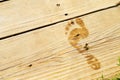 Wet Footprint on Wood Deck