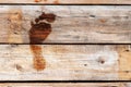 Wet footprint on wooden boards. the texture of the boards